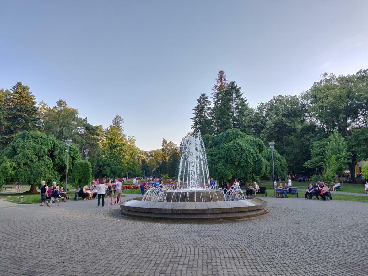 Hotel Fontana Vrnjačka Banja Esterno foto
